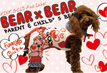 Bear & Bear