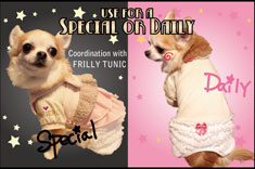 Special or Daily