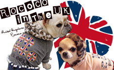 ROCOCO in the UK