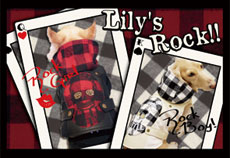 Lily's Rock!!