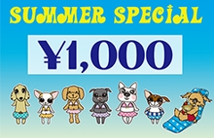 �n�b�s�[�T�}�[1000�~�N�[�|��