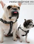 CAWAII FRILLED HARNESS (L)