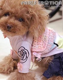 󒍌 SPECIAL CC BAG for Dogs