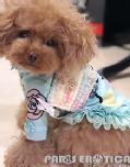 󒍌 SPECIAL CC BAG for Dogs