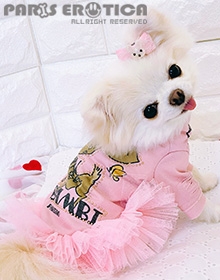 [JX^I[_[] Coolmotion Frilled Tee hJustin Bambih