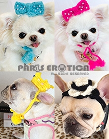 SPECIAL Mini HAT for Dogs [受注生産]