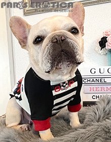 BUHITNEY UK Tee (for French Bulldog)