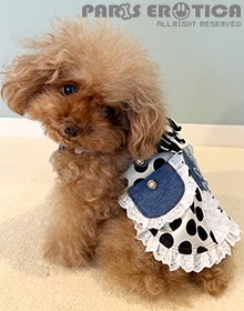 Lace and Denim Jumper skirt