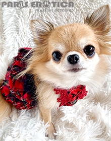 Tartan Ruffle Jumper skirt