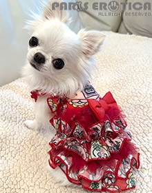 PG's Favorite things Dress
