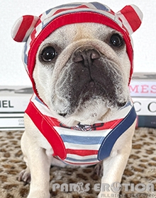 BUHITNEY UK Hoodie (for French Bulldog)