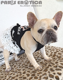 [s\] Coco Lace Dress