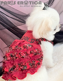 Tartan Ruffle Dress